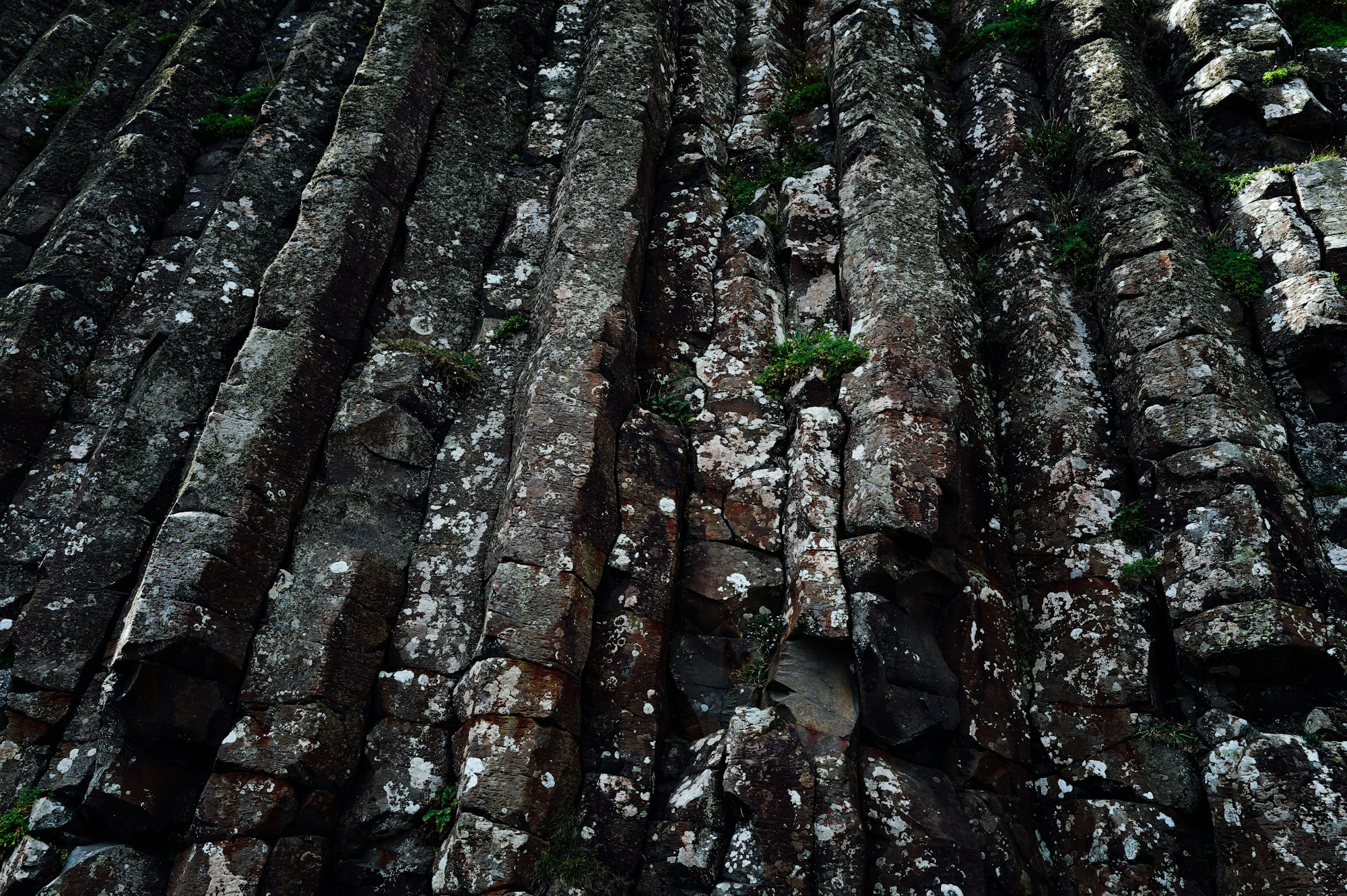 Columnar jointing exposed in the quarry highwall, lit from the side.