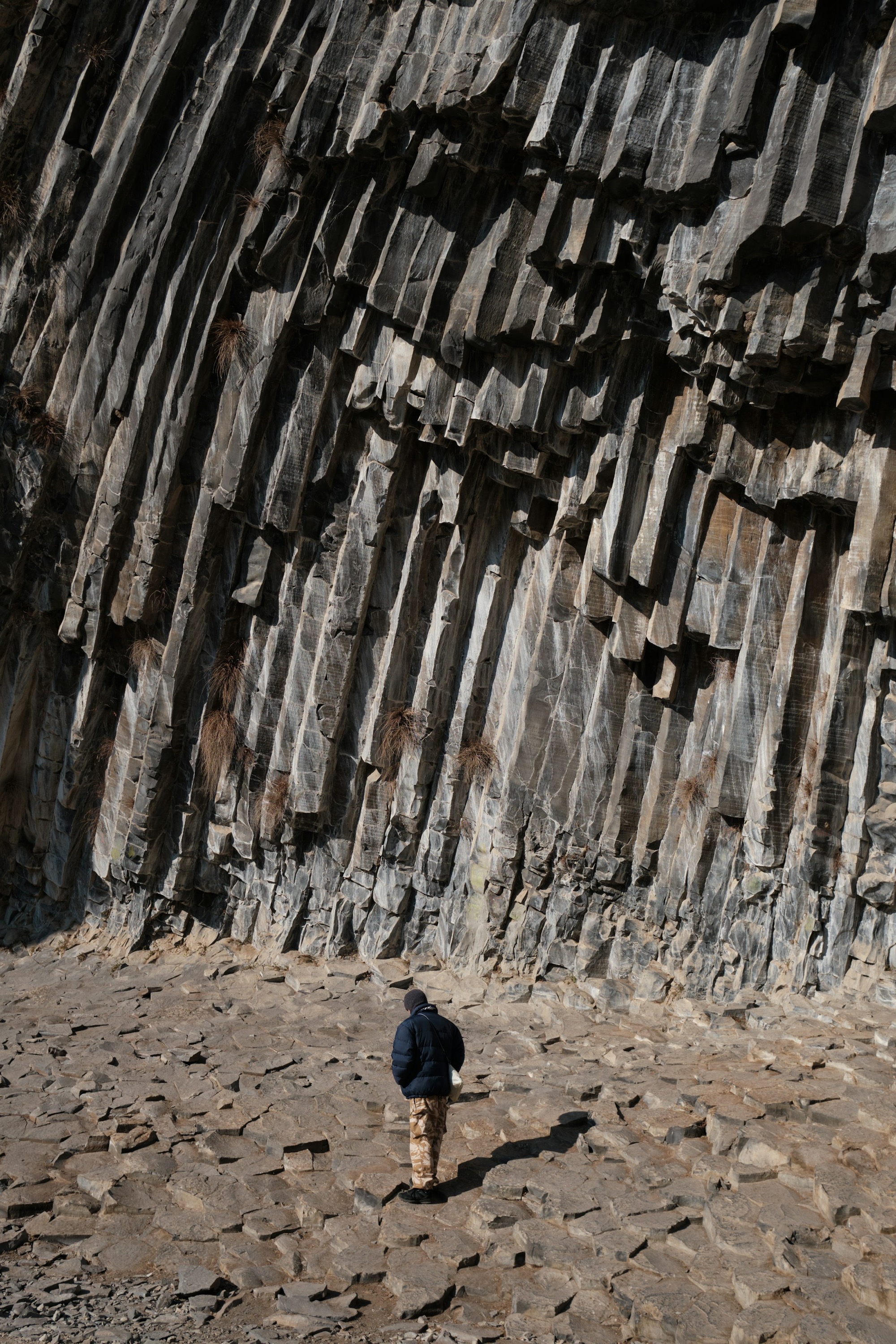 A tall cliff of closely packed basalt columns rising in shadow.
